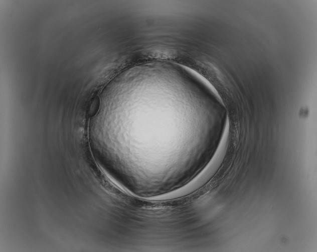 X0000090900553200708201720