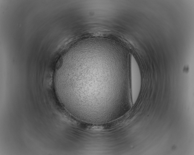 X0000090900554200708201720