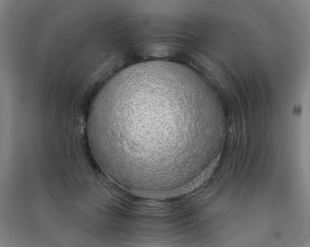 X0000090900555200708201720