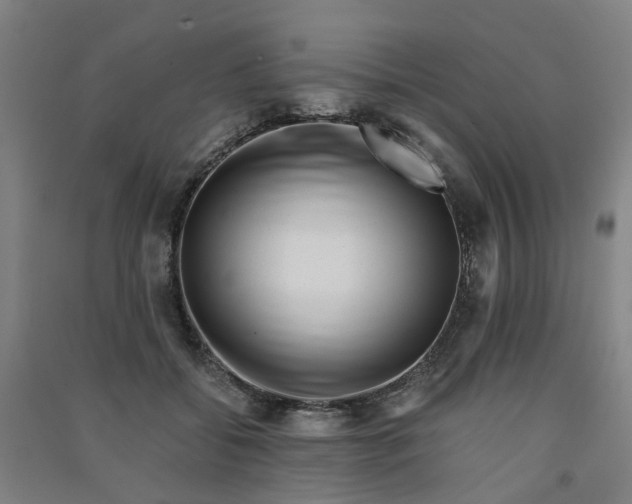 X0000090900556200708201720