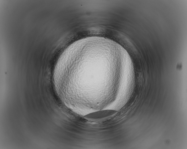 X0000090900557200708201720