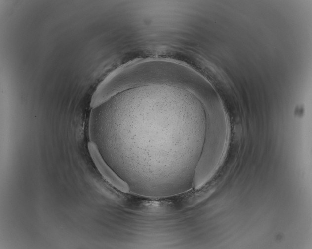 X0000090900558200708201721