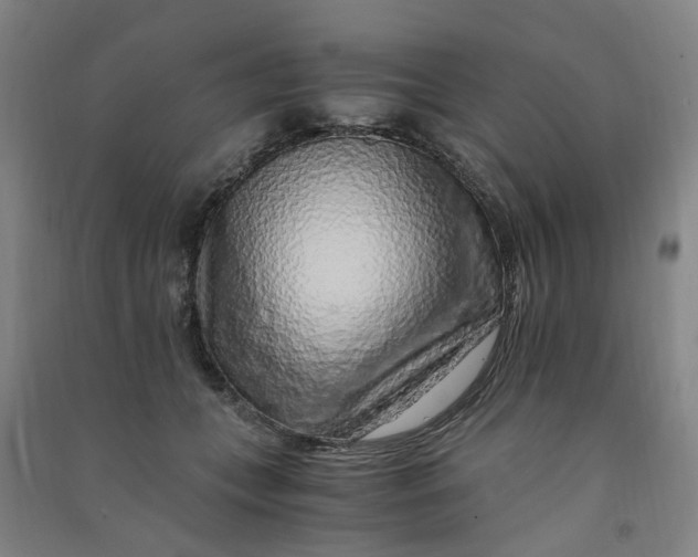 X0000090900559200708201721