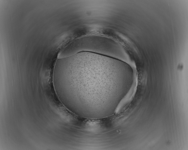 X0000090900560200708201721