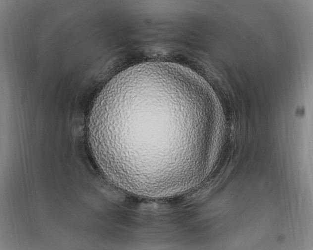 X0000090900561200708201721