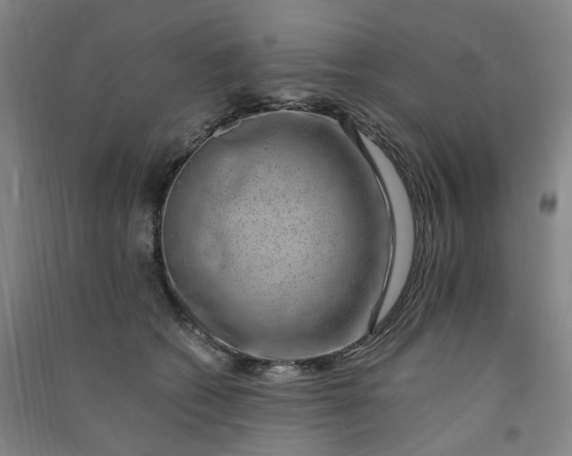 X0000090900562200708201721