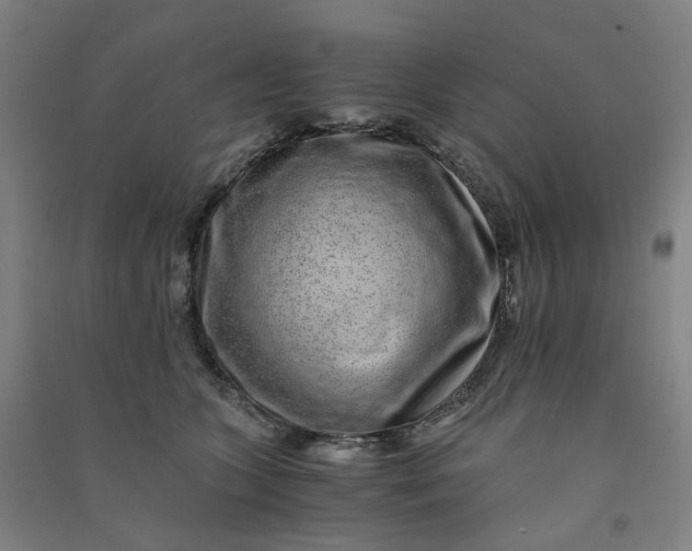 X0000090900563200708201721