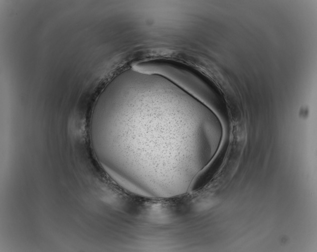 X0000090900564200708201721