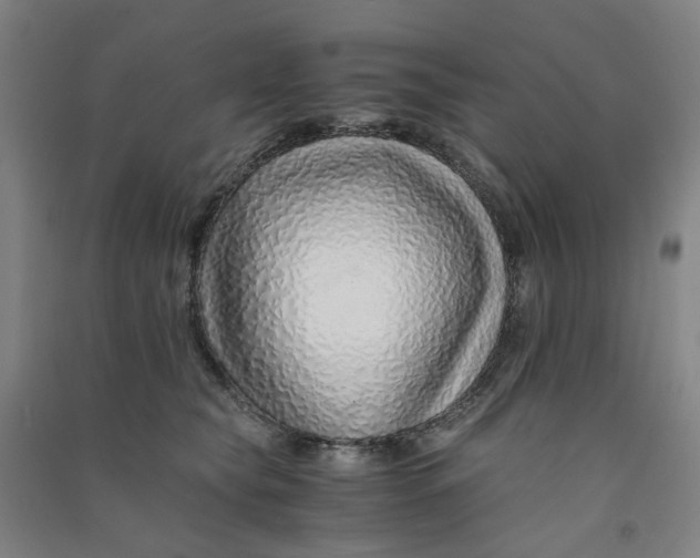 X0000090900565200708201721