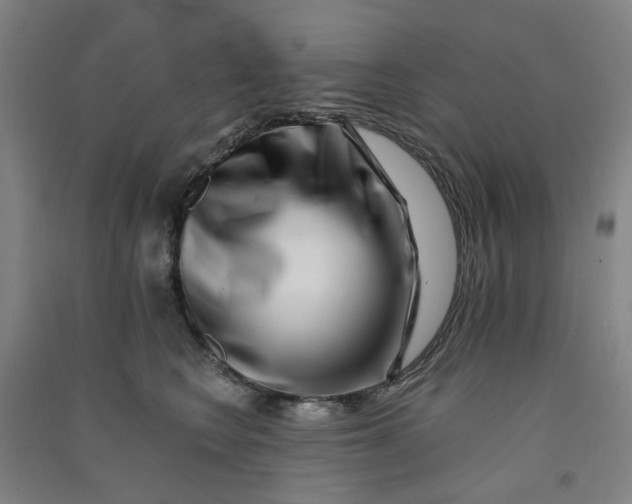 X0000090900566200708201721