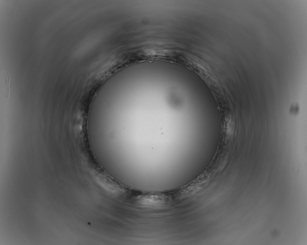 X0000090900567200708201721