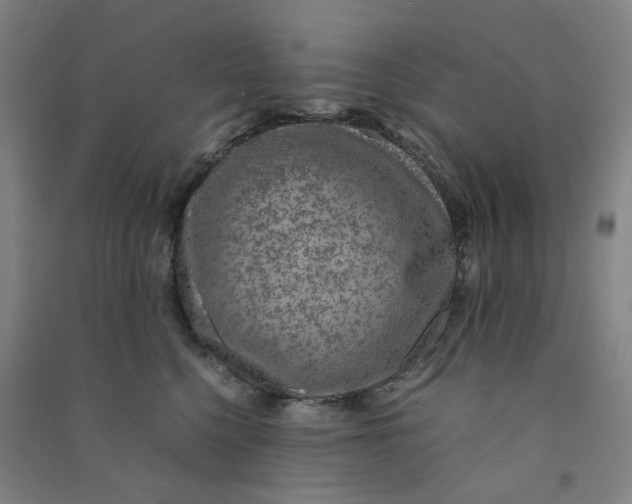 X0000090900568200708201721