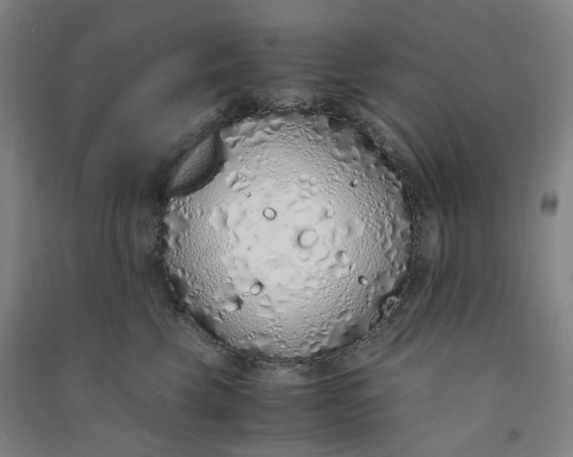 X0000090900569200708201721