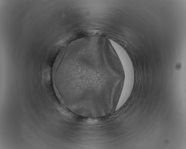 X0000090900570200708201721