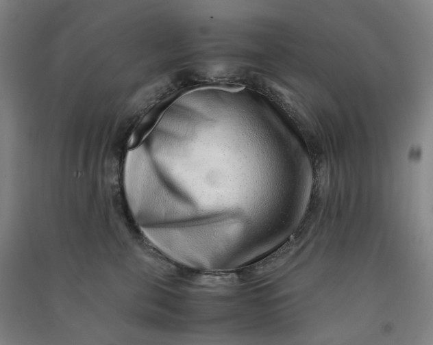 X0000090900571200708201721