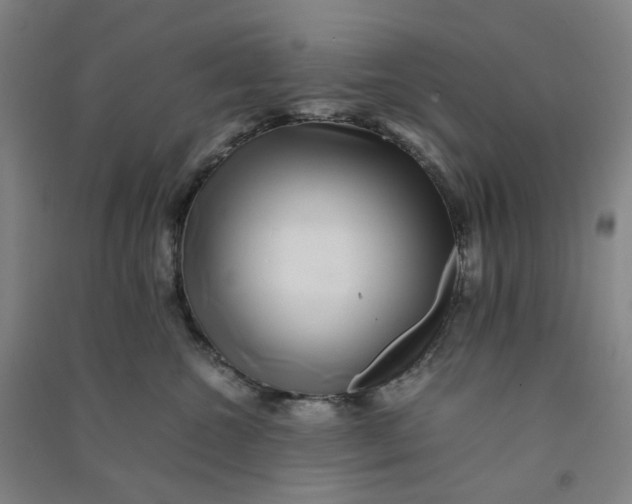 X0000090900572200708201721