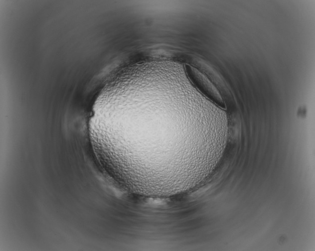 X0000090900573200708201721