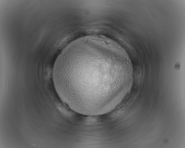 X0000090900574200708201721