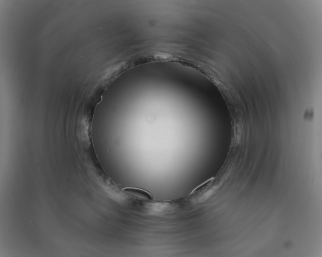 X0000090900575200708201721