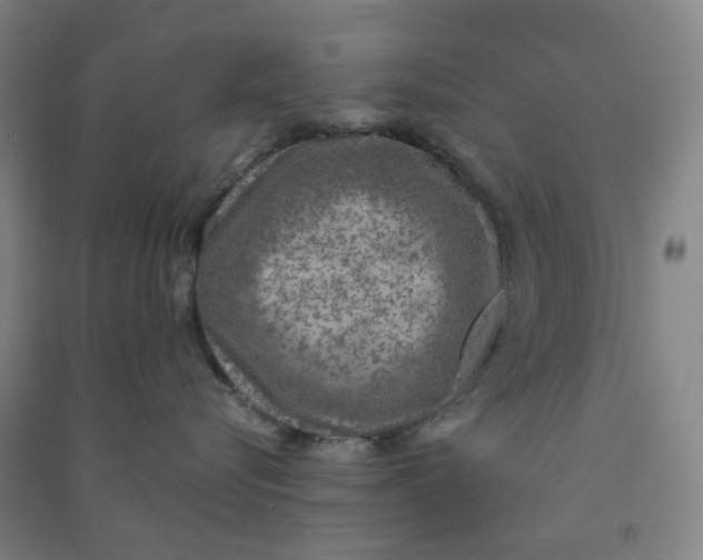 X0000090900576200708201721