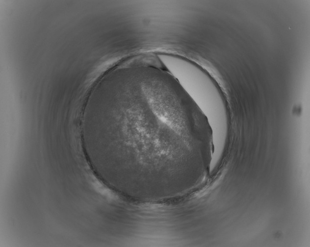 X0000090900577200708201720