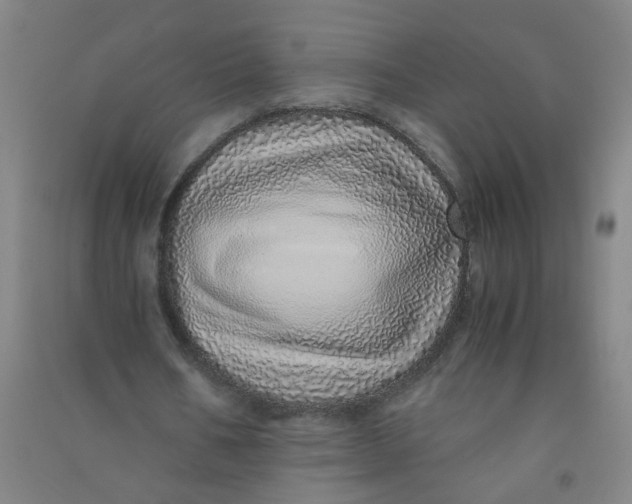 X0000090900578200708201720