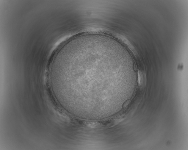 X0000090900579200708201720