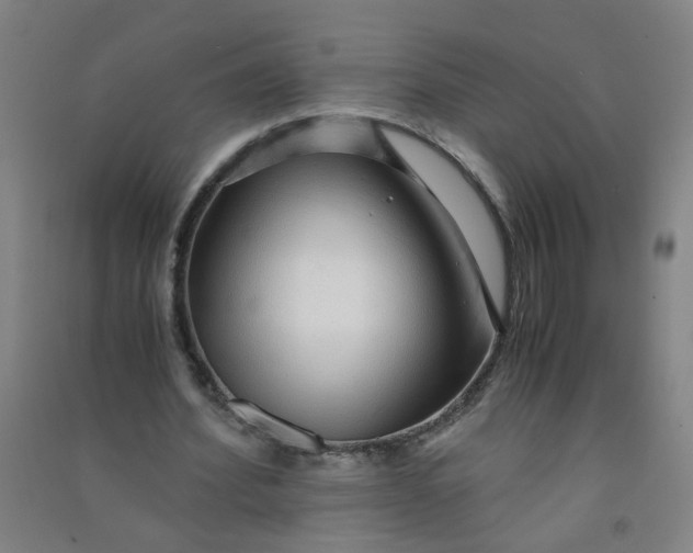 X0000090900580200708201720