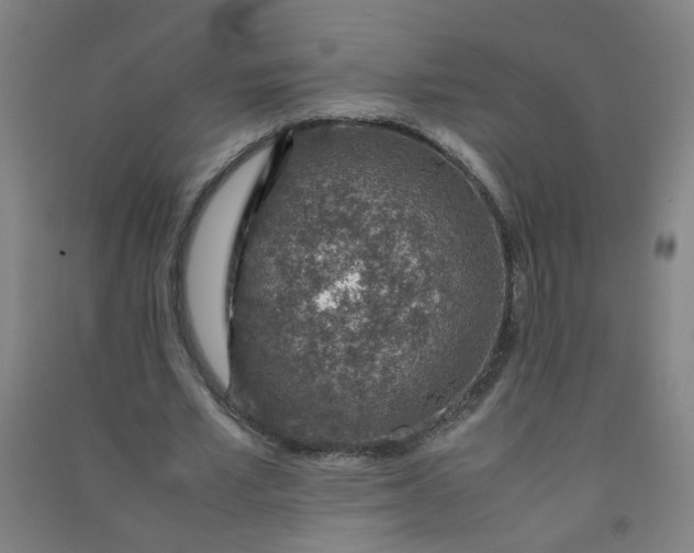 X0000090900581200708201720