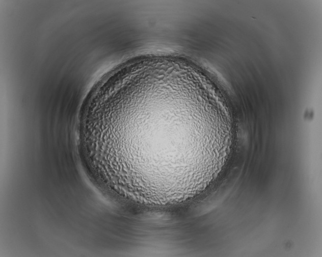 X0000090900582200708201720