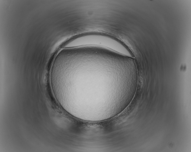 X0000090900583200708201720