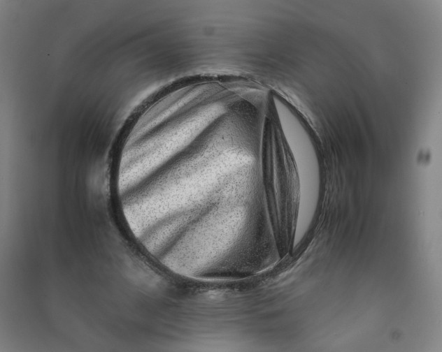 X0000090900584200708201720