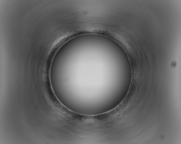 X0000090900587200708201720