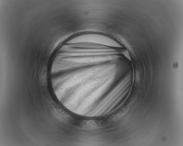 X0000090900588200708201720