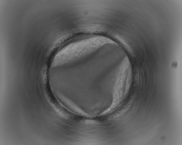 X0000090900590200708201720