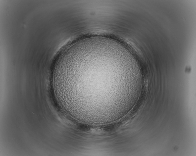 X0000090900591200708201720