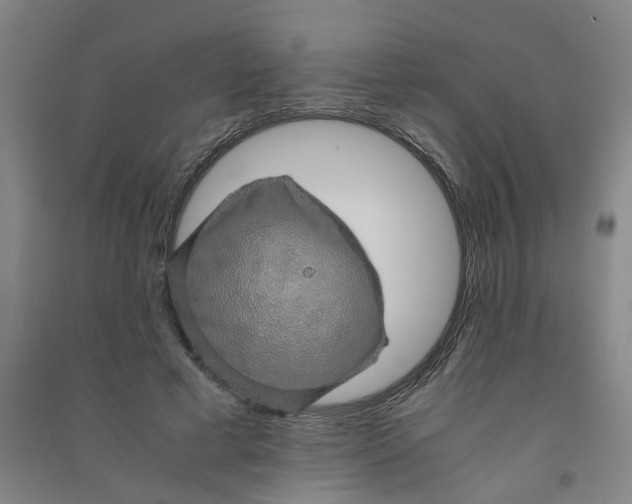 X0000090900593200708201720