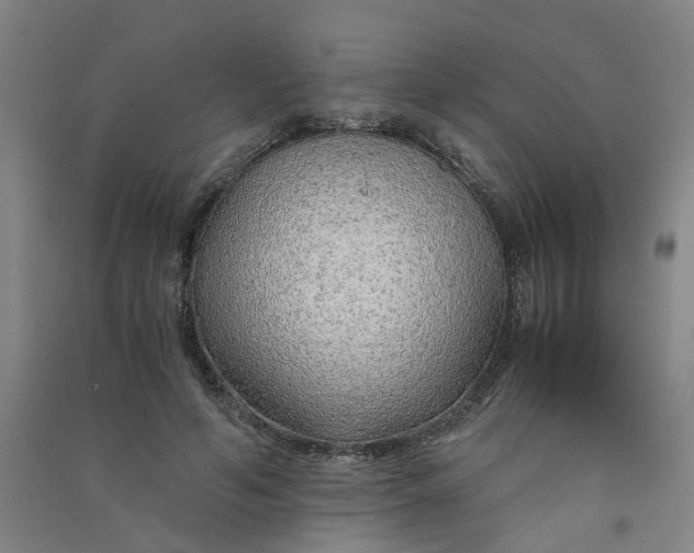 X0000090900594200708201720