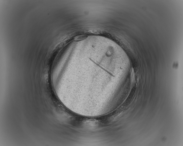 X0000090900595200708201720