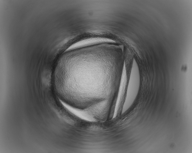 X0000090900596200708201720