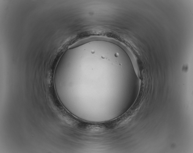 X0000090900597200708201720