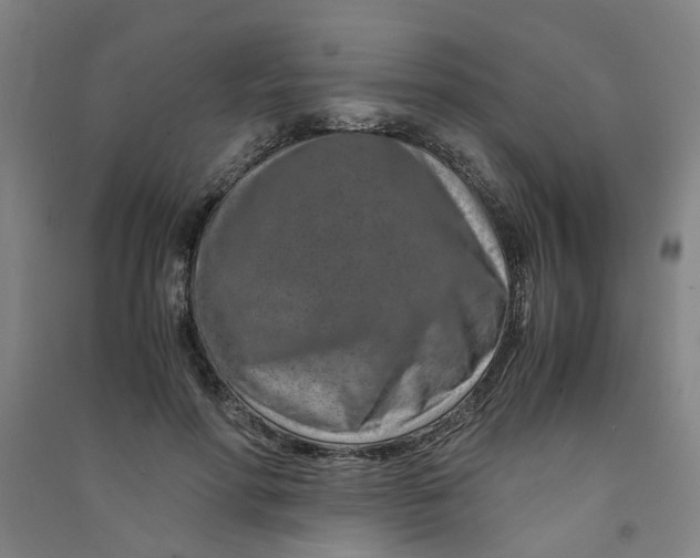 X0000090900598200708201720