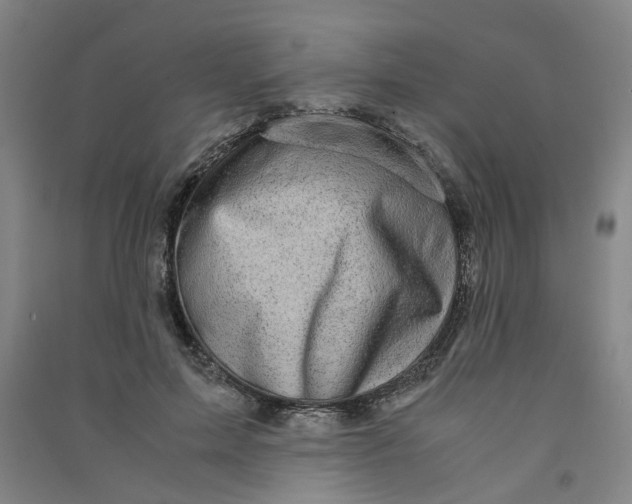 X0000090900599200708201720