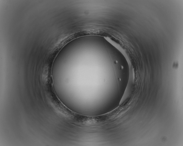 X0000090900600200708201720