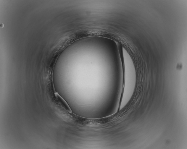 X0000090900601200708201720