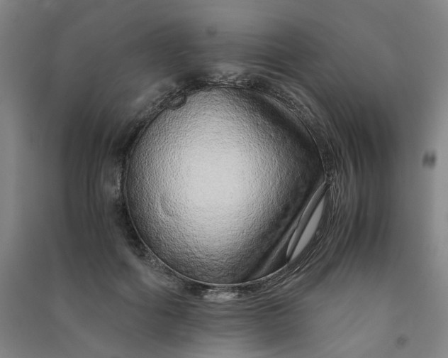 X0000090900602200708201720