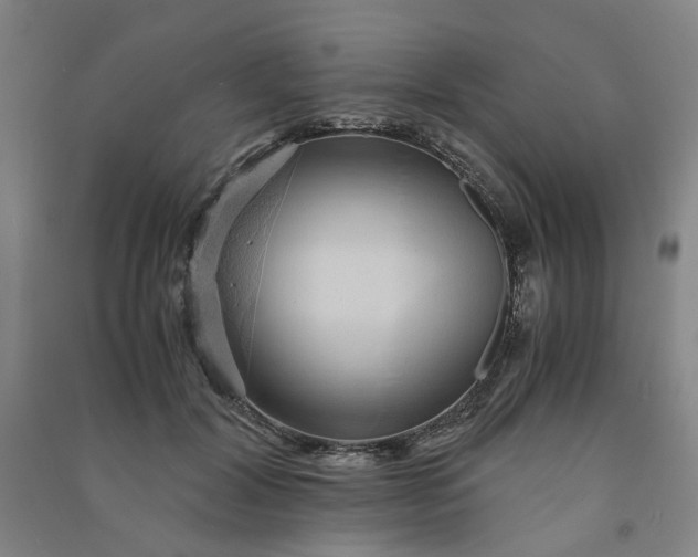 X0000090900604200708201720