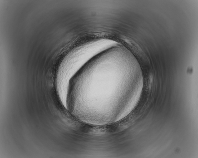 X0000090900606200708201720