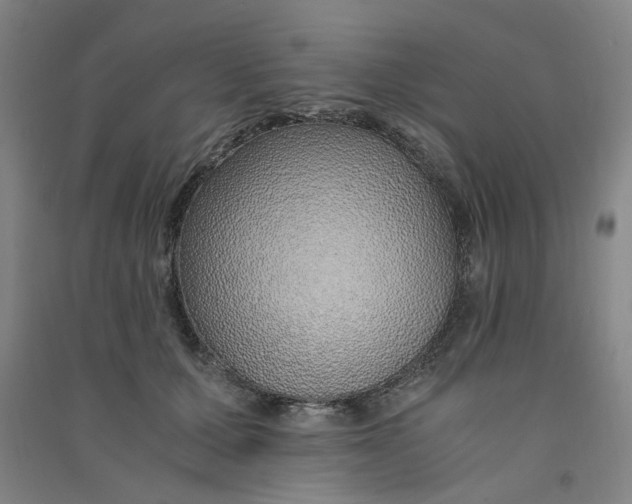 X0000090900607200708201720