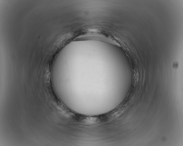 X0000090900609200708201719